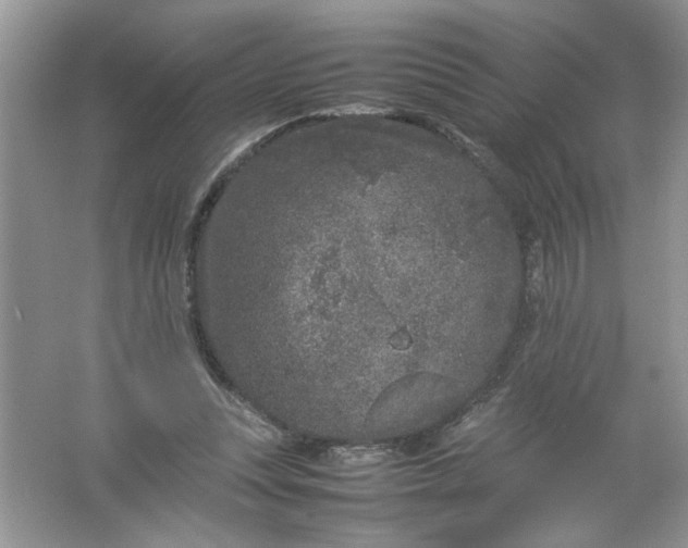 X0000061760351200512161749