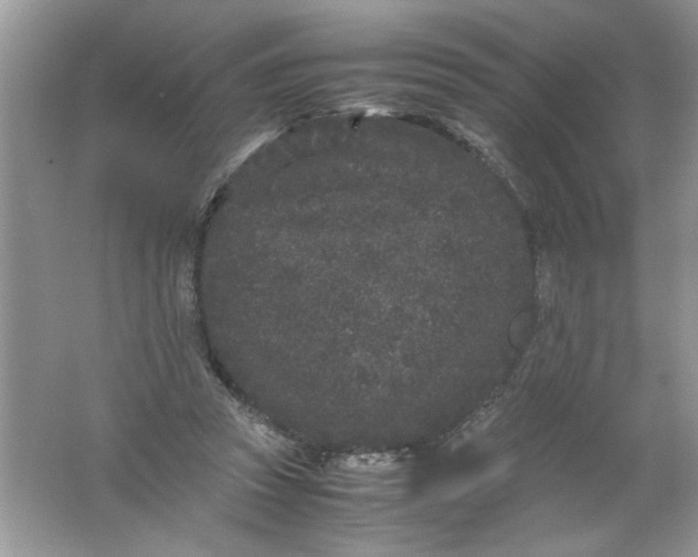 X0000061760353200512161749