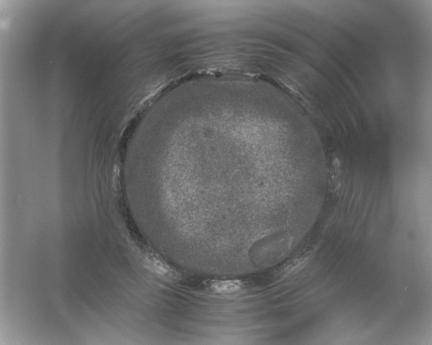 X0000061760355200512161749