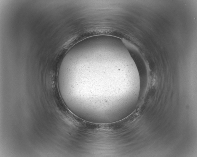 X0000061760356200512161749