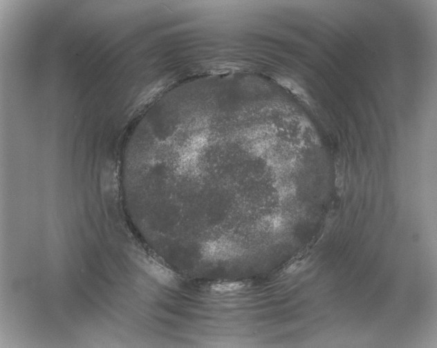 X0000061760357200512161749