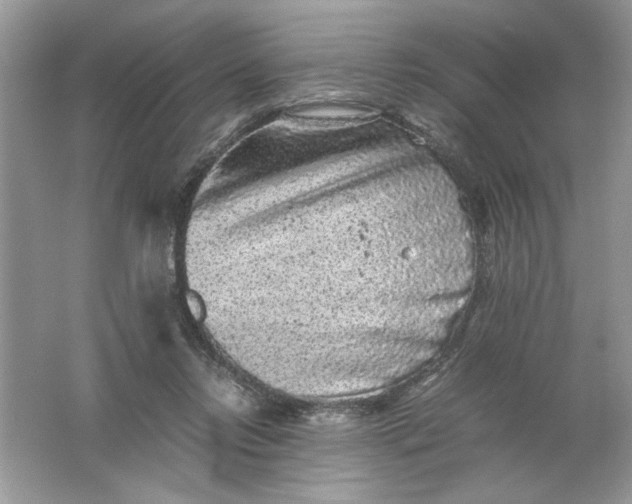 X0000061760358200512161749