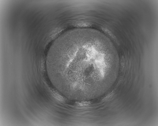 X0000061760359200512161749