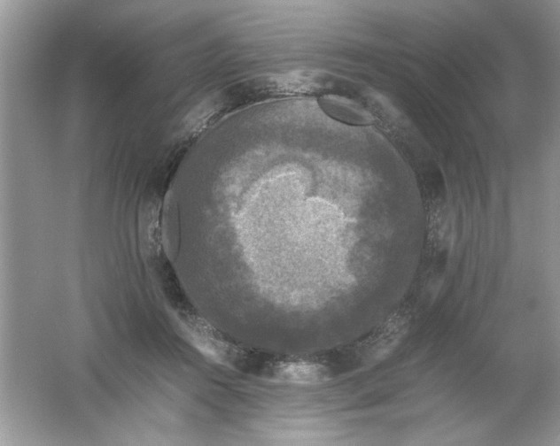 X0000061760360200512161749