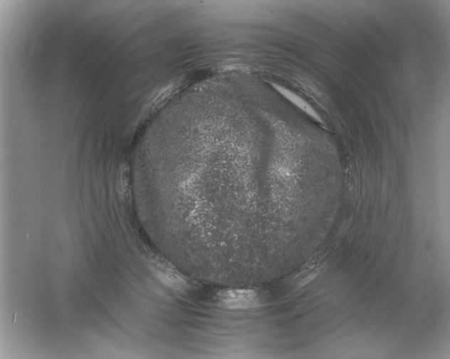 X0000061760361200512161749