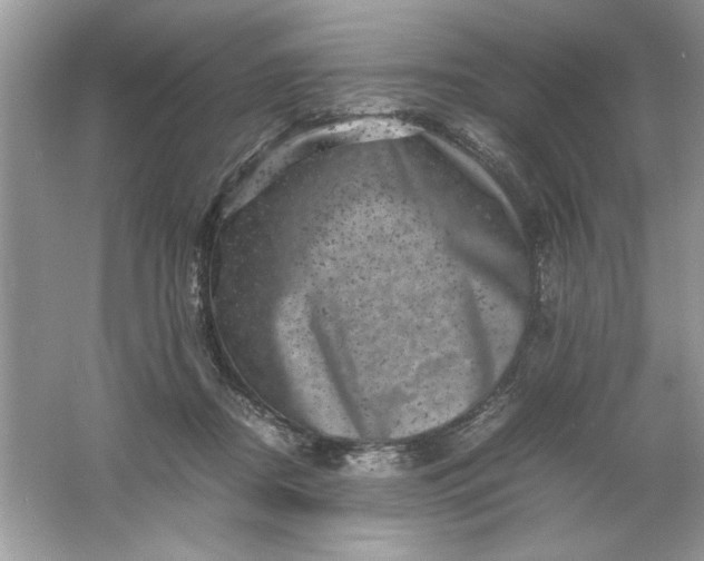 X0000061760362200512161749