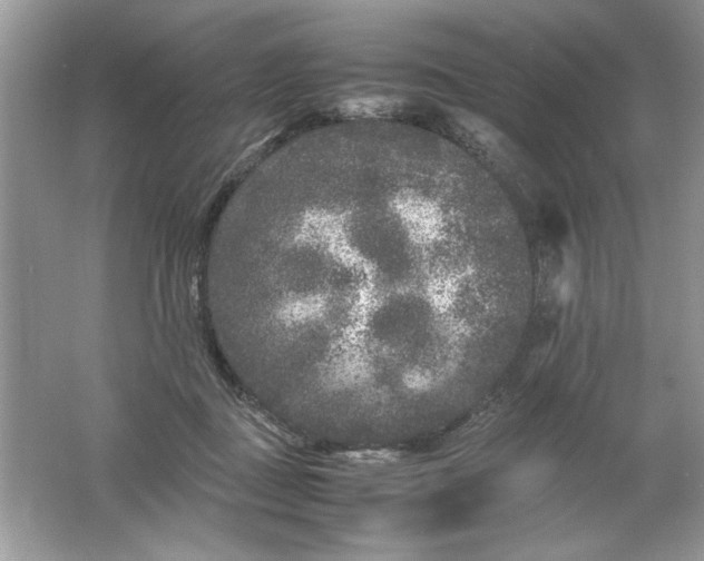 X0000061760363200512161749