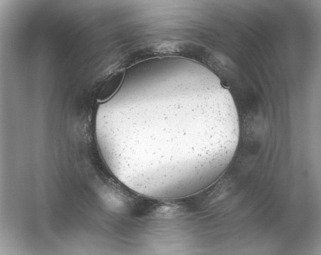 X0000061760364200512161750