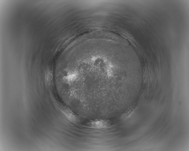 X0000061760365200512161750