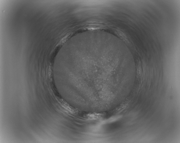 X0000061760367200512161750