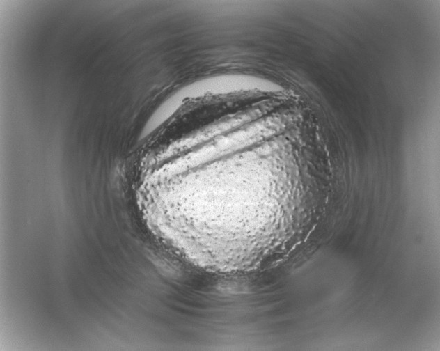 X0000061760369200512161750