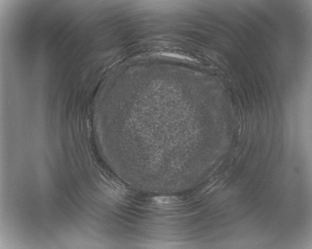 X0000061760371200512161750