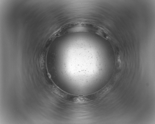 X0000061760372200512161750