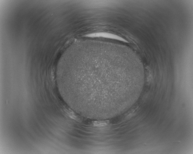 X0000061760373200512161750