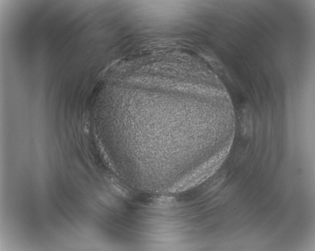 X0000061760374200512161750