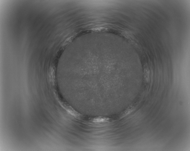 X0000061760375200512161750