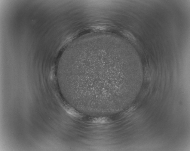 X0000061760377200512161750