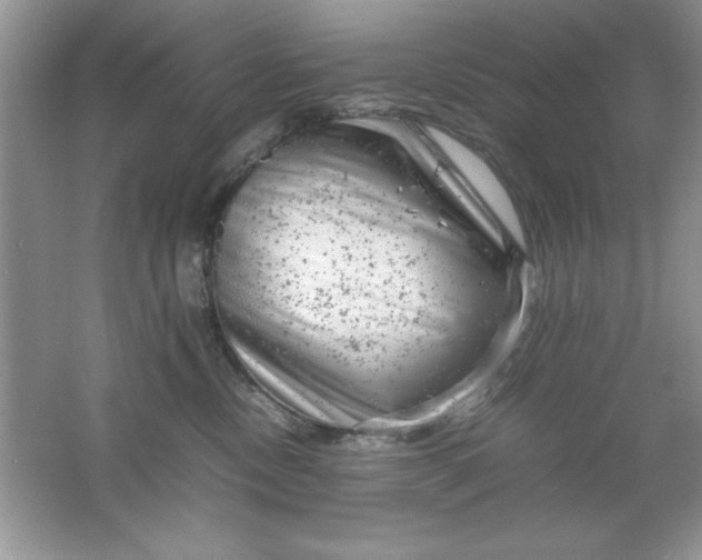 X0000061760378200512161750