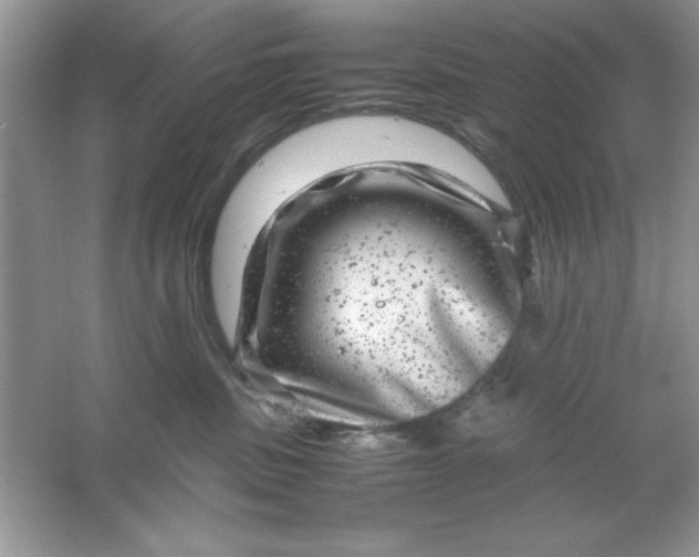 X0000061760379200512161750