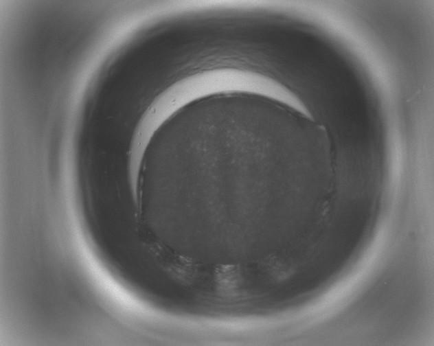 X0000061760382200512161750