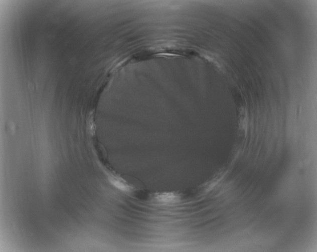 X0000061760383200512161750