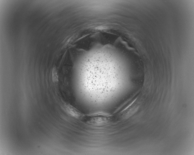 X0000061760384200512161750