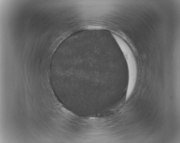 X0000061760385200512161749