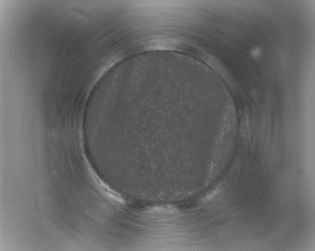 X0000061760386200512161749