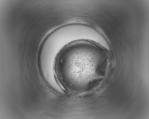 X0000061760387200512161749