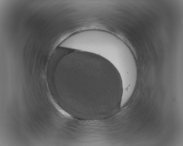 X0000061760389200512161749