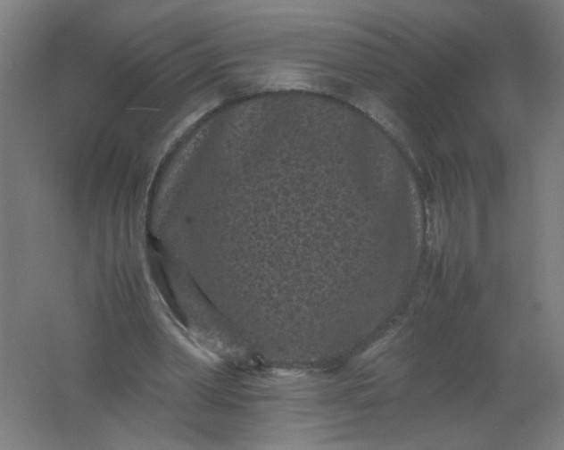 X0000061760390200512161749