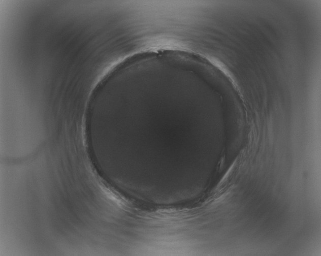 X0000061760391200512161749