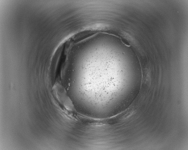 X0000061760392200512161749