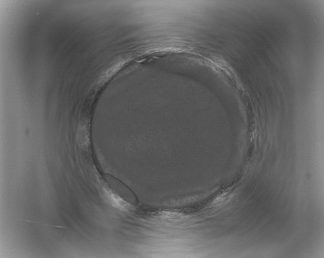 X0000061760393200512161749