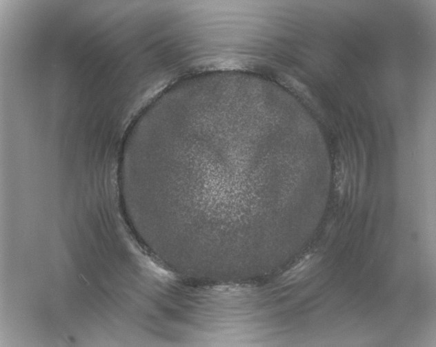 X0000061760394200512161749