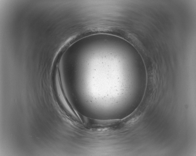 X0000061760395200512161749