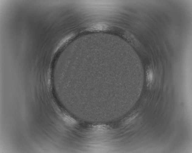 X0000061760396200512161749