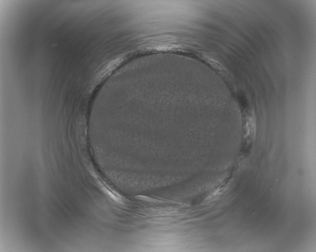 X0000061760397200512161749