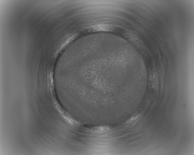 X0000061760398200512161749