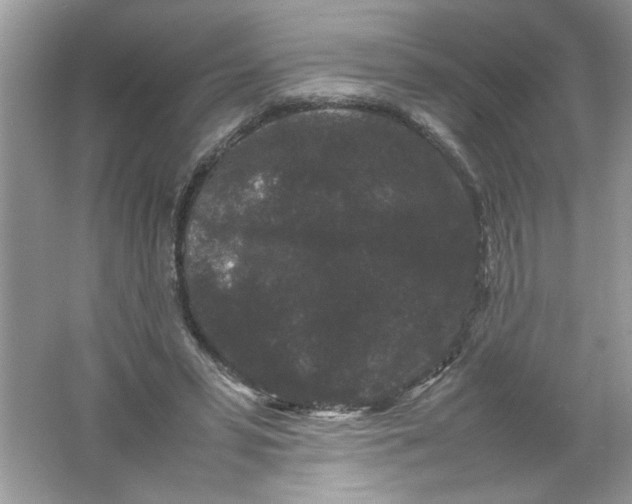 X0000061760399200512161749