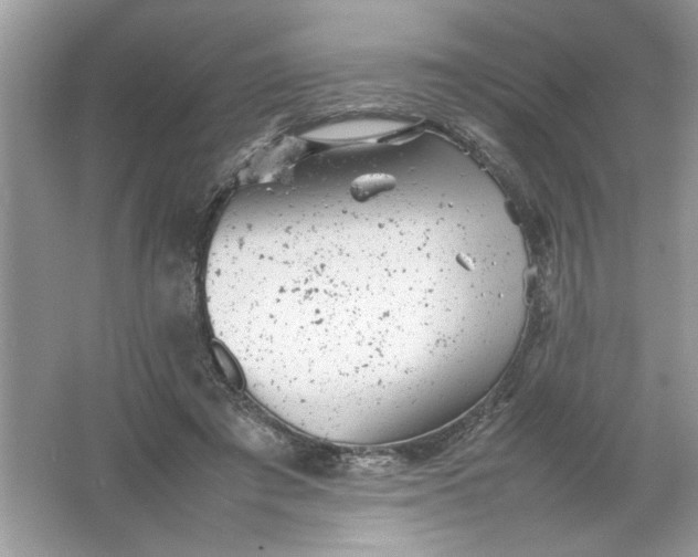 X0000061760401200512161749