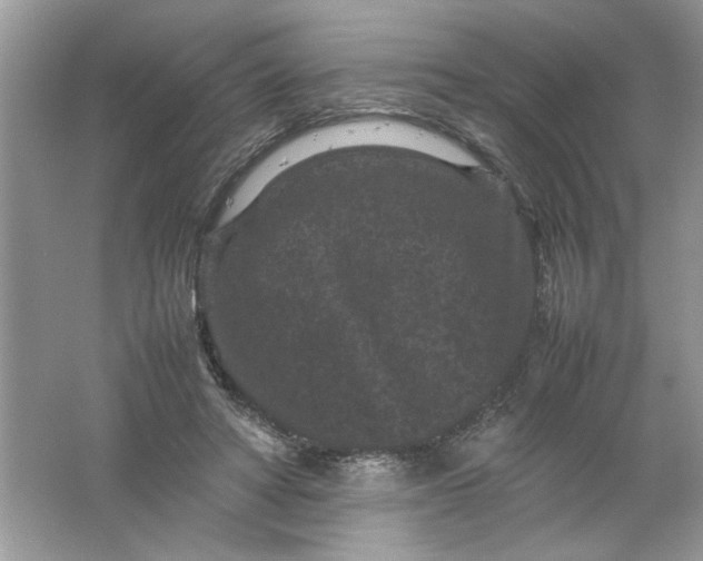 X0000061760402200512161749