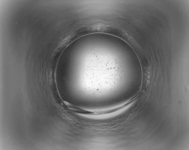 X0000061760403200512161749