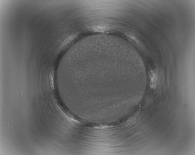 X0000061760404200512161749