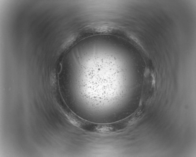 X0000061760407200512161749