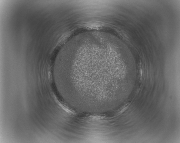 X0000061760408200512161749