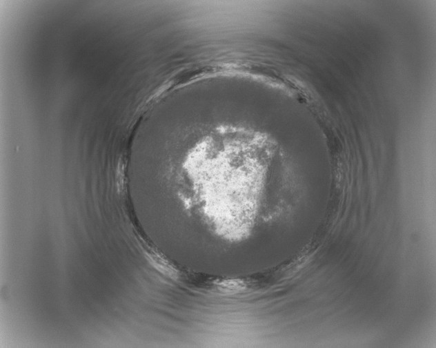 X0000061760409200512161749