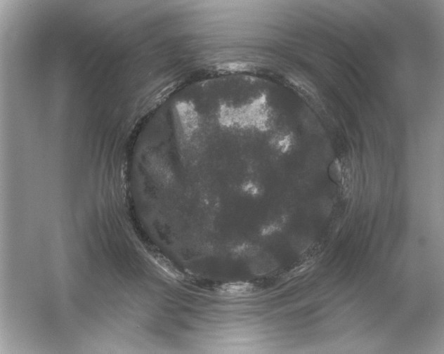 X0000061760410200512161749