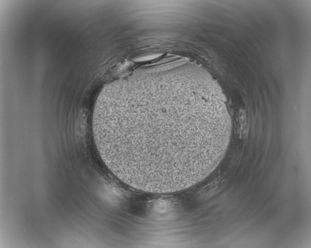 X0000061760412200512161749