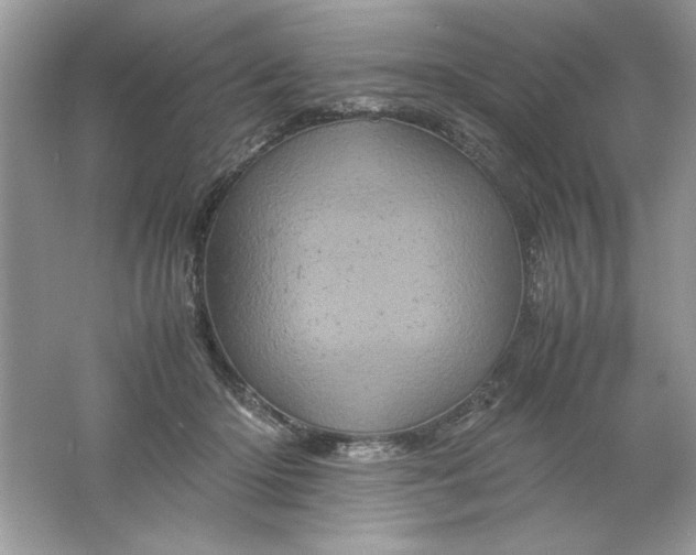 X0000061760414200512161749